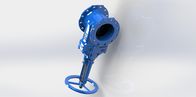 ANSI Прочный водоотводный клапан из литого железа для промышленности