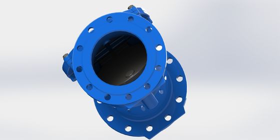 Нагрузочный клапан PN10 Swing Flex Check Valve с уплотнительным материалом EPDM и гибким железным корпусом для очистки воды