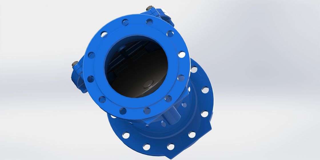 Нагрузочный клапан PN10 Swing Flex Check Valve с уплотнительным материалом EPDM и гибким железным корпусом для очистки воды